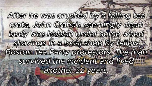 tree - After he was crushed by a falling tea crate, John Crane's seemingly dead body was hidden under some wood Shavings in a local shop by fellow Boston Tea Party protestors. The man survived the incident and lived in another 32 years.