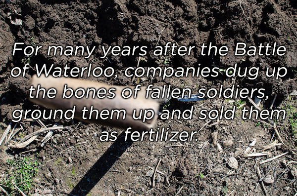 disadvantages of crop rotation - For many years after the Battle of Waterloo, companiesdug up the bones of fallen soldiers, ground them up and sold them as fertilizer.