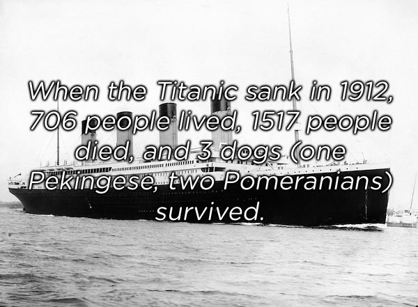 water transportation - When the Titanic sank in 1912, 706 people lived, 1517 people | died, and 3 dogs one Pekingestwo Pomeranians survived.