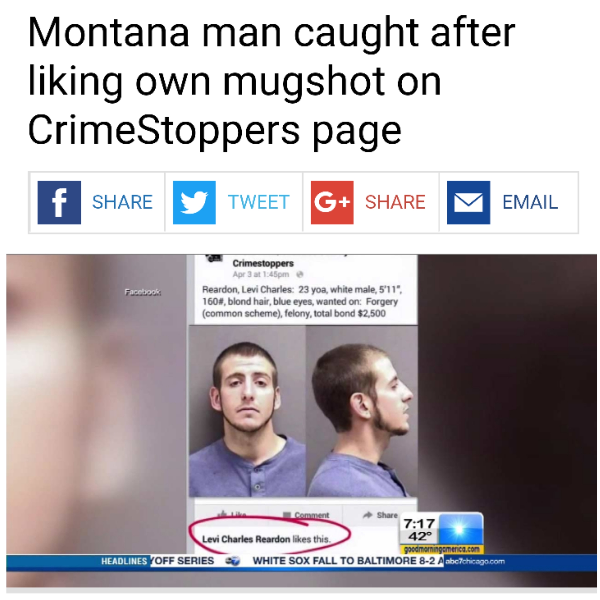 craziest florida man headlines - Montana man caught after liking own mugshot on Crime Stoppers page f O Tweet G Email Crimestoppers Reardon Levi Charles 23yoa white mal, 5'11" 1602, blond hair blue eyes, wanted on Forgery common schemel, felony, total bon