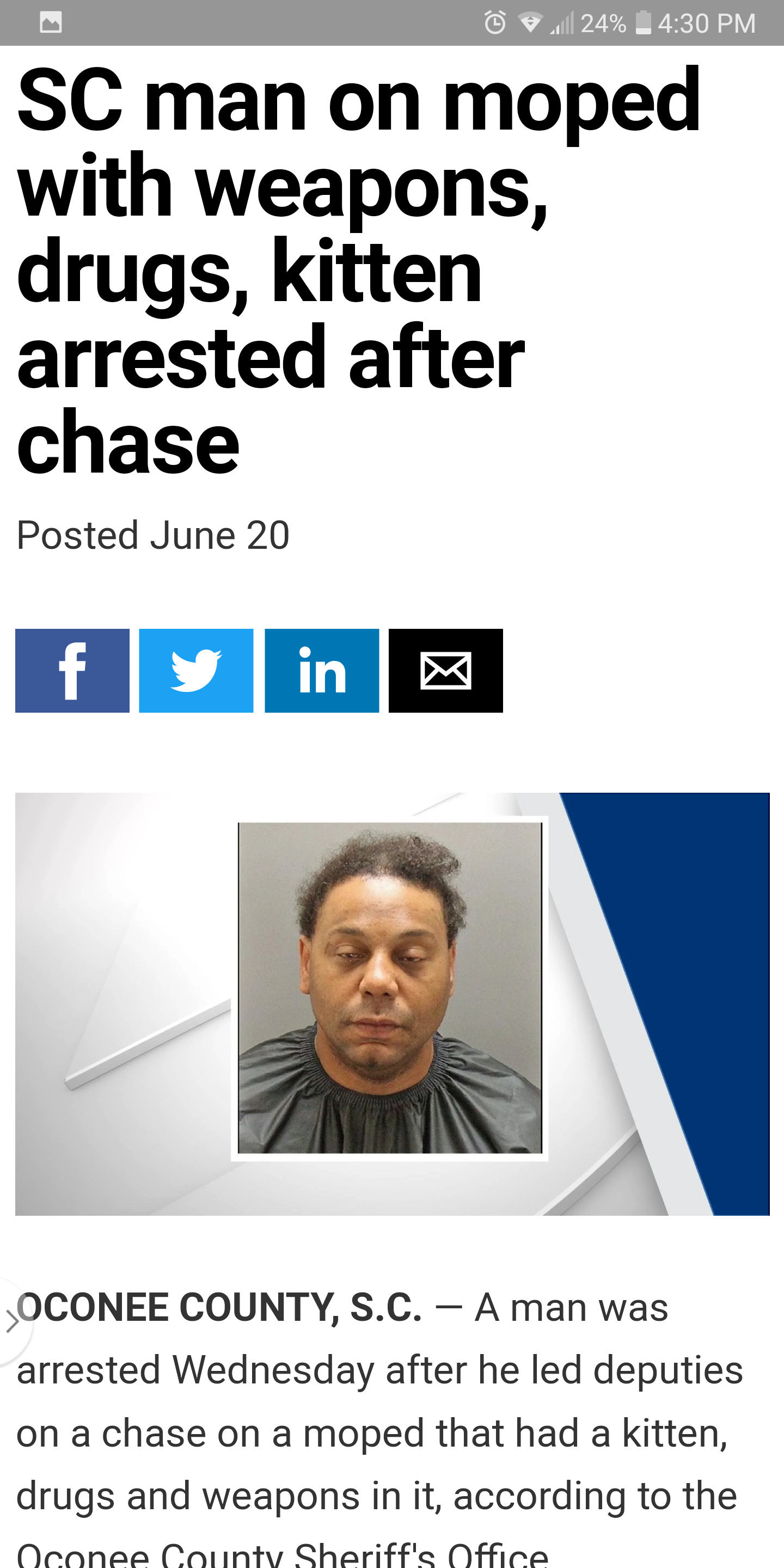 florida man 24 4 - .24% 4.30 Pm Sc man on moped with weapons, drugs, kitten arrested after chase Posted June 20 Oconee County, S.C. A man was arrested Wednesday after he led deputies on a chase on a moped that had a kitten, drugs and weapons in it, accord