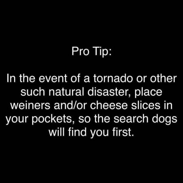 hebrew 2 3 - Pro Tip In the event of a tornado or other such natural disaster, place weiners andor cheese slices in your pockets, so the search dogs will find you first.