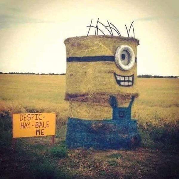 minion en foin