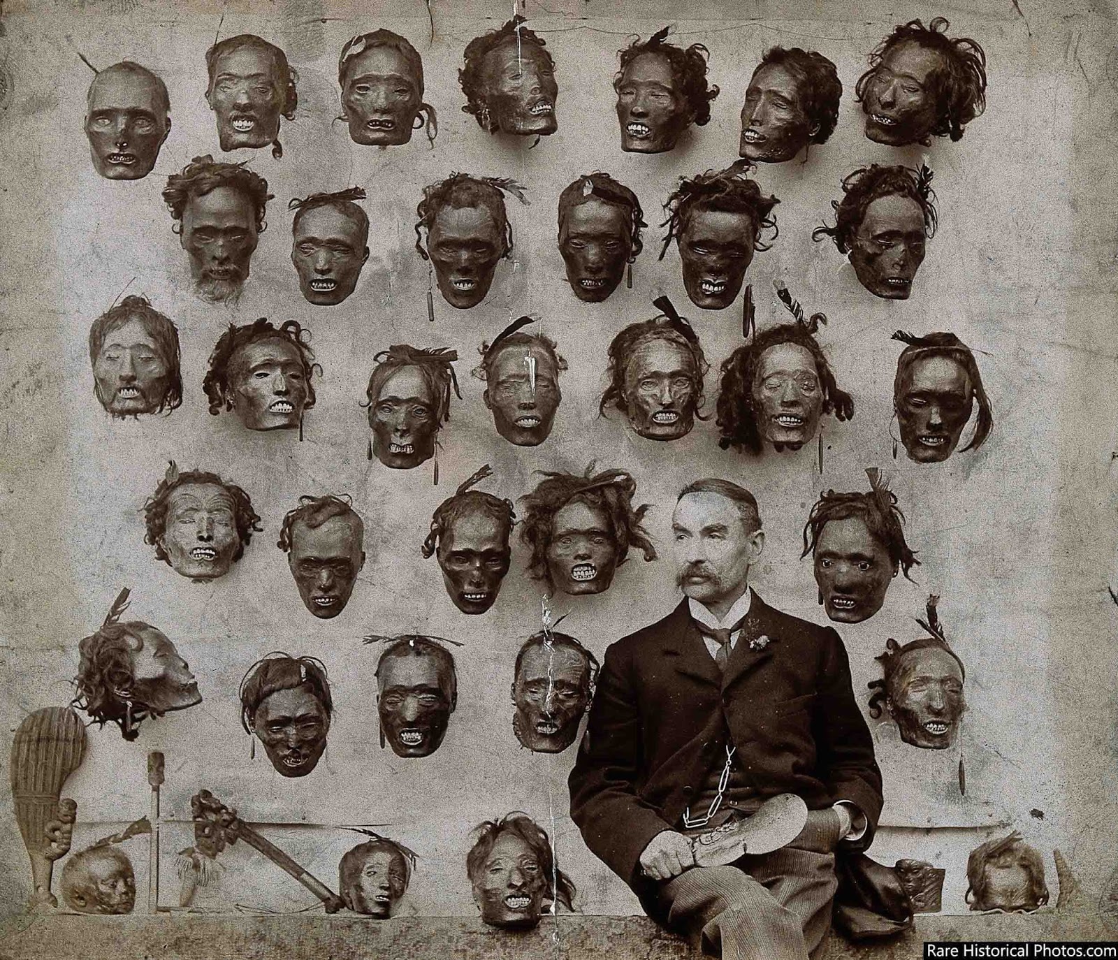 Major General Horatio Gordon Robley with his collection of tattooed Maori heads, 1895