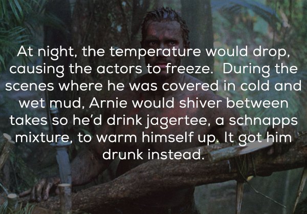 predator facts - At night, the temperature would drop, causing the actors to freeze. During the scenes where he was covered in cold and wet mud, Arnie would shiver between takes so he'd drink jagertee, a schnapps mixture, to warm himself up. It got him dr