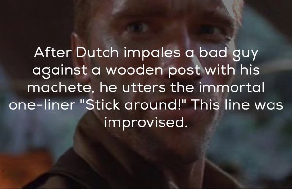 photo caption - After Dutch impales a bad guy against a wooden post with his machete, he utters the immortal oneliner "Stick around!" This line was improvised.