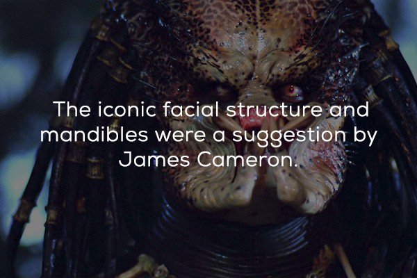 horror - The iconic facial structure and mandibles were a suggestion by James Cameron..