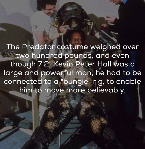 predator 1987 - The Predator costume weighed over two hundred pounds, and even though 7'2" Kevin Peter Hall was a large and powerful man, he had to be connected to a "bungie" rig, to enable him to move more believably.