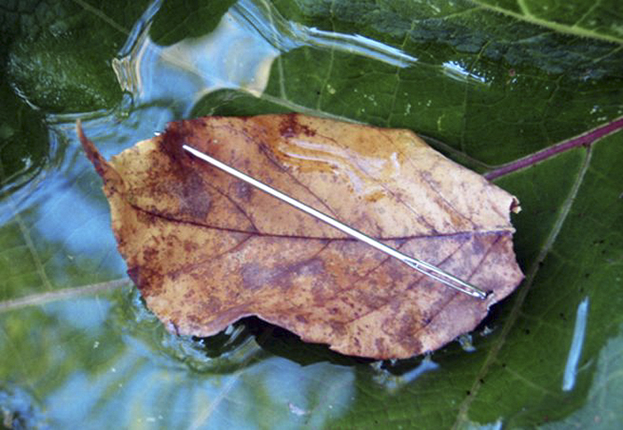 When lost, a makeshift compass can be made by using a magnetized metal object, like a needle. To magnetize it, rub the eye of the needle against hair, fur or silk about a hundred times. Then, place the needle on a leaf that can float on water and make sure no wind hits it. If done correctly, the needle should start pointing North - South. Be careful that no other metal objects are nearby - they can pull the needle off course.