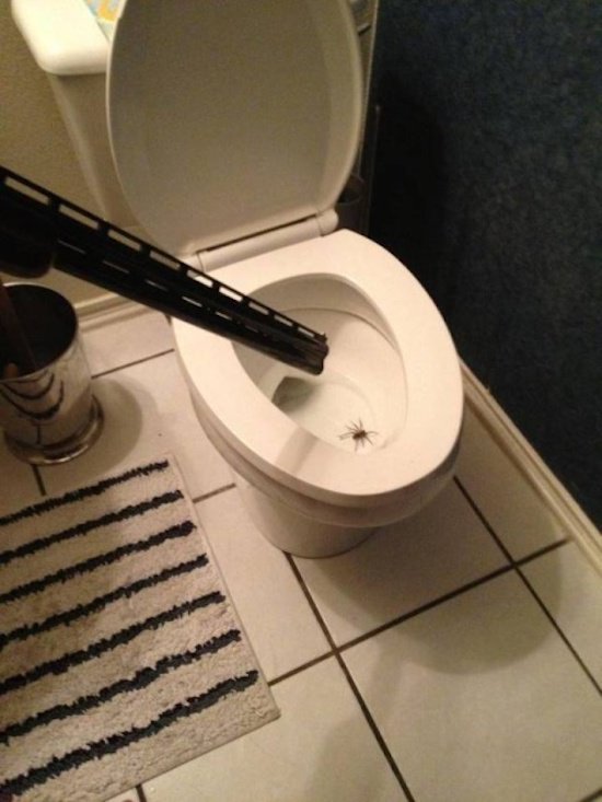 35 times sh*t hit the fan