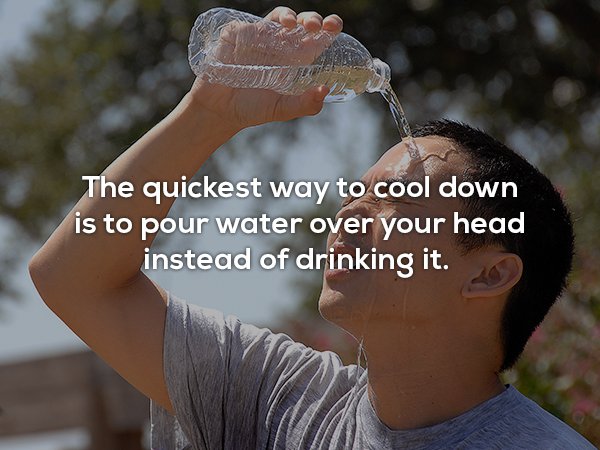 wtf facts - The quickest way to cool down is to pour water over your head instead of drinking it.