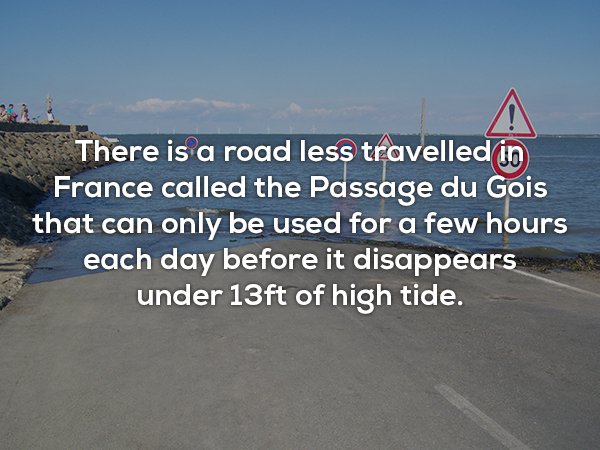wtf facts - shore - There is a road less travelled in France called the Passage du Gois that can only be used for a few hours each day before it disappears under 13ft of high tide.