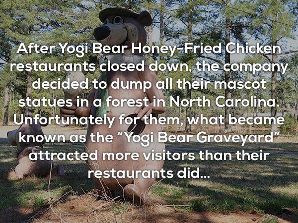wtf facts - photo caption - After Yogi Bear HoneyFried Chicken restaurants closed down, the company decided to dump all their mascot statues in a forest in North Carolina. Unfortunately for them, what became known as the