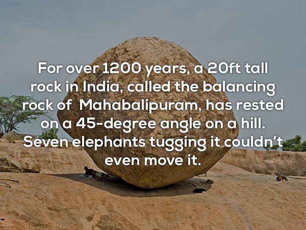 wtf facts - rock - For over 1200 years, a 20ft tall rock in India, called the balancing rock of Mahabalipuram, has rested on a 45degree angle on a hill. Seven elephants tugging it couldn't even move it.