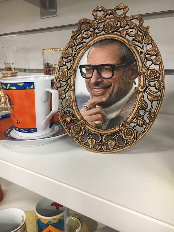 jeff goldblum frames