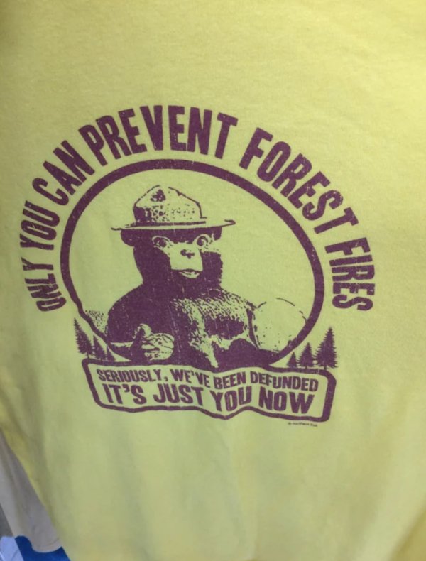 t shirt - Preventes Seriously, We'Ve Been Defunded It'S Just You Now