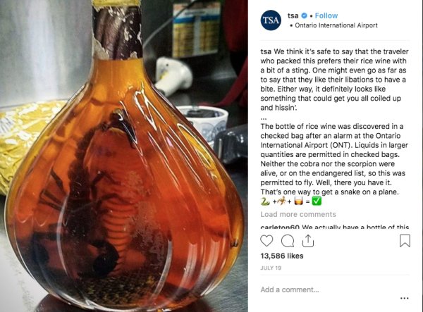 glass bottle - Tsa tsa . Ontario International Airport tsa We think it's safe to say that the traveler who packed this prefers their rice wine with a bit of a sting. One might even go as far as to say that they their libations to have a bite. Either way, 