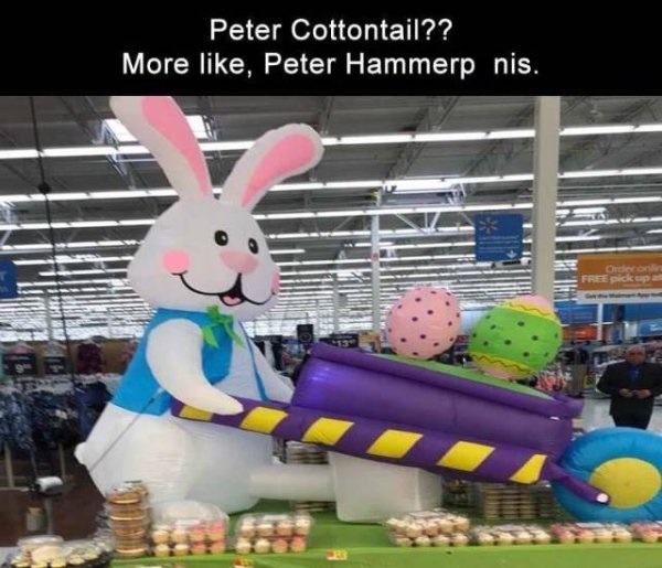 peter cottontail meme - Peter Cottontail?? More , Peter Hammerp nis.