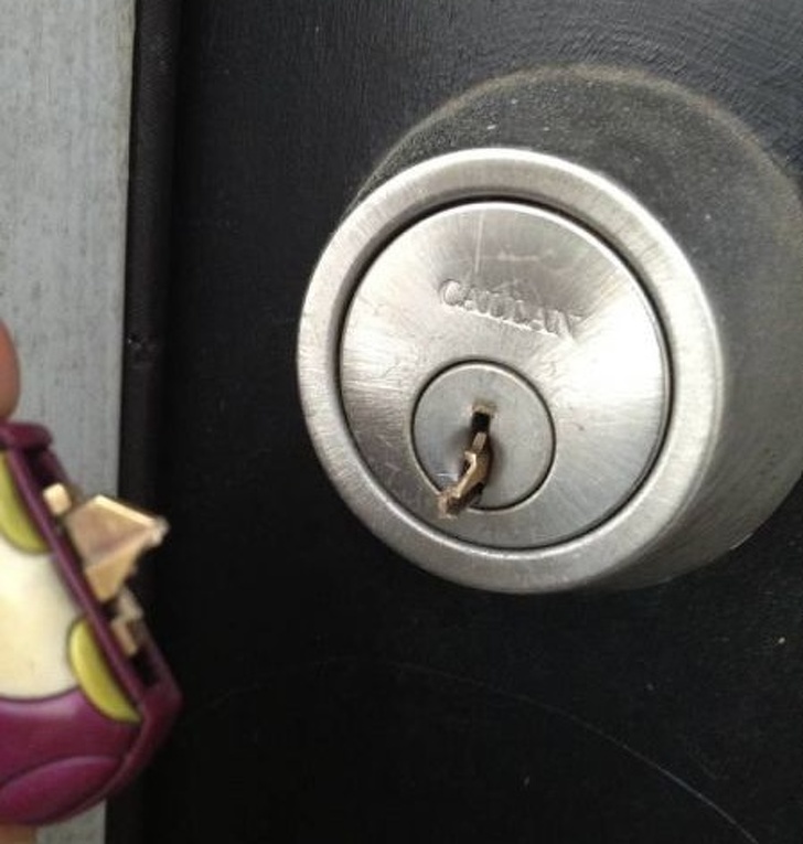 24 people who had their day ruined