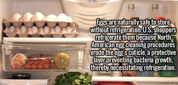 food - 10 Eggs are naturally safe to store without refrigeration. U.S. shoppers refrigerate them because North American egg cleaning procedures erode the egg's cuticle, a protective layer preventing bacteria growth, thereby necessitating refrigeration.