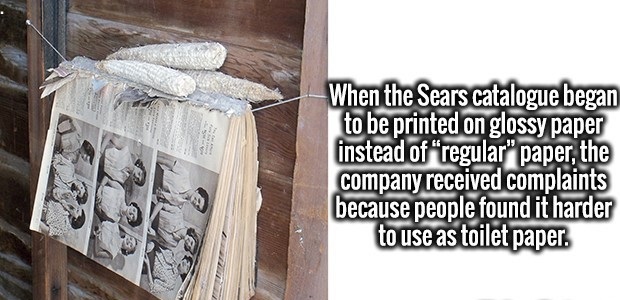 wood - When the Sears catalogue began to be printed on glossy paper instead of "regular" paper, the company received complaints because people found it harder to use as toilet paper.