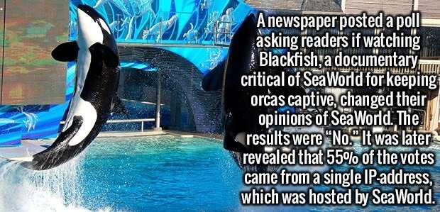 water - Wal A newspaper posted a poll asking readers if watching Blackfish, a documentary critical of SeaWorld for keeping orcas captive, changed their opinions of Sea World. The. results were "No." It was later revealed that 55% of the votes came from a 