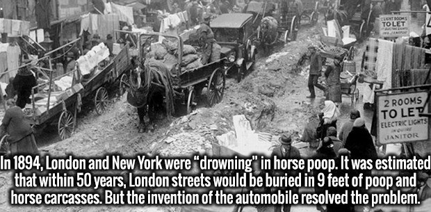 new york city 1926 - Toled 2 Rooms To Led Electrk Lights Janitori In 1894. London and New York were "drowning" in horse poop. It was estimated that within 50 years, London streets would be buried in 9 feet of poop and horse carcasses. But the invention of