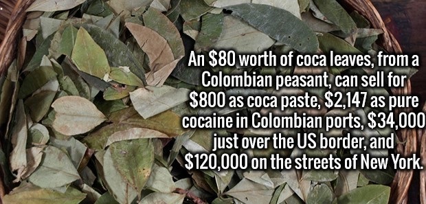 Coca - An $80 worth of coca leaves, from a Colombian peasant, can sell for $800 as coca paste, $2,147 as pure cocaine in Colombian ports, $34,000 just over the Us border, and $120.000 on the streets of New York.