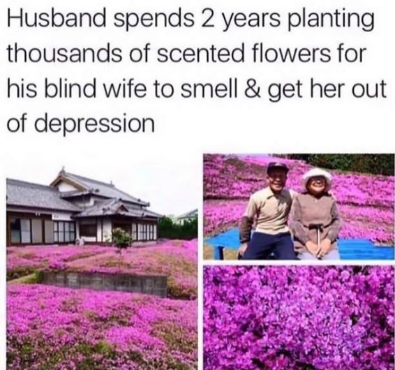 husband spends 2 years planting flowers - Husband spends 2 years planting thousands of scented flowers for his blind wife to smell & get her out of depression