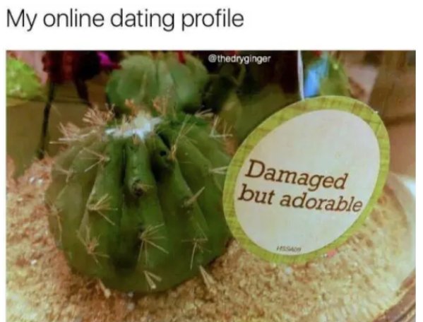 memes - damaged but adorable meme - My online dating profile Damaged but adorable