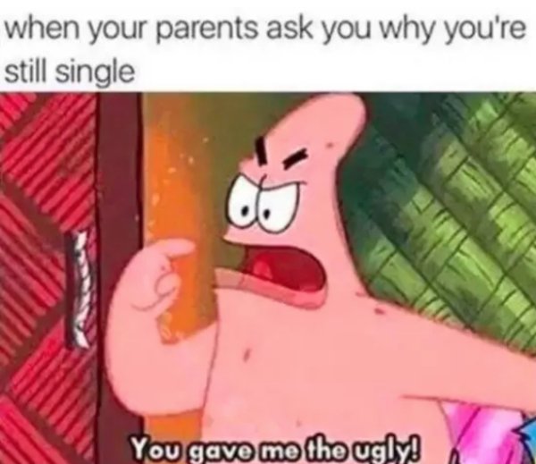 memes - your parents ask why you re still single - when your parents ask you why you're still single You gave me the ugly!
