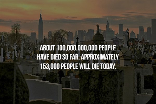 creepy fact queens cemetery - About 100,000,000,000 People Have Died So Far. Approximately 153,000 People Will Die Today.