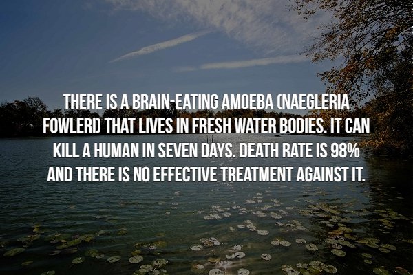 creepy fact nature - There Is A BrainEating Amoeba Naegleria Fowlerd That Lives In Fresh Water Bodies. It Can Kill A Human In Seven Days. Death Rate Is 98% And There Is No Effective Treatment Against It.