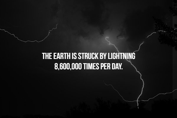 creepy fact meerkat - The Earth Is Struck By Lightning 8,600,000 Times Per Day.