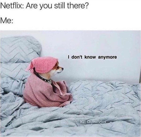 netflix are you still there i don t know anymore - Netflix Are you still there? Me I don't know anymore Ig Quincyfox