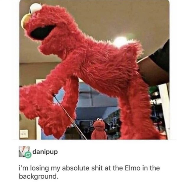 elmo losing my absolute shit - N danipup i'm losing my absolute shit at the Elmo in the background.
