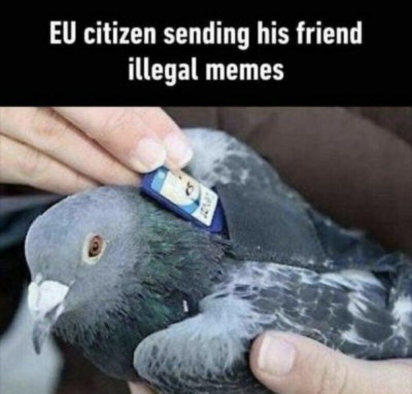 eu illegal memes - Eu citizen sending his friend illegal memes