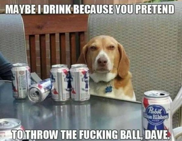 drunk doggo - Maybe I Drink Because You Pretend Pie Blue Ribbon To Throw The Fucking Ball Dave.