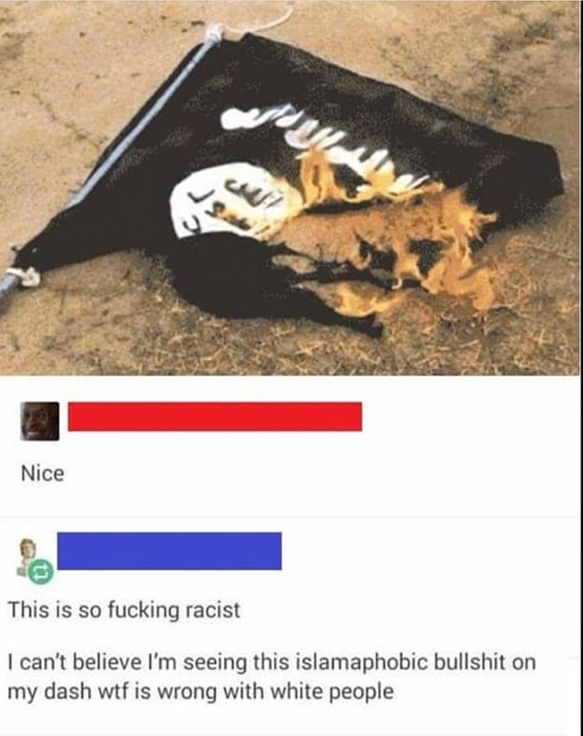 Someone complaining about islamophobia for a picture of a ISIS flag burning