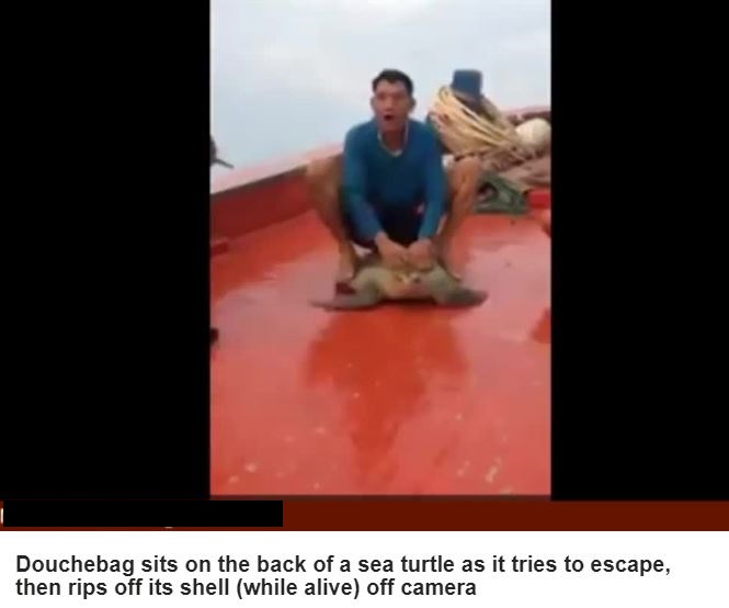 man - Douchebag sits on the back of a sea turtle as it tries to escape, then rips off its shell while alive off camera