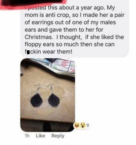 posted this about a year ago. My mom is anti crop, so I made her a pair of earrings out of one of my males ears and gave them to her for Christmas. I thought, if she d the floppy ears so much then she can fuckin wear them! 1h