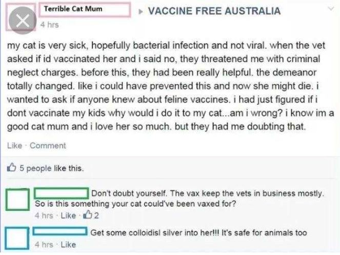 web page - Terrible Cat Mum Vaccine Free Australia 4 hrs my cat is very sick, hopefully bacterial infection and not viral, when the vet asked if id vaccinated her and i said no, they threatened me with criminal neglect charges before this, they had been r