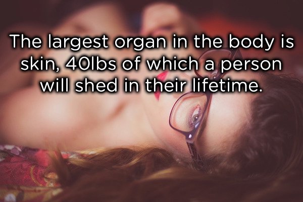 15 cool facts about the human body