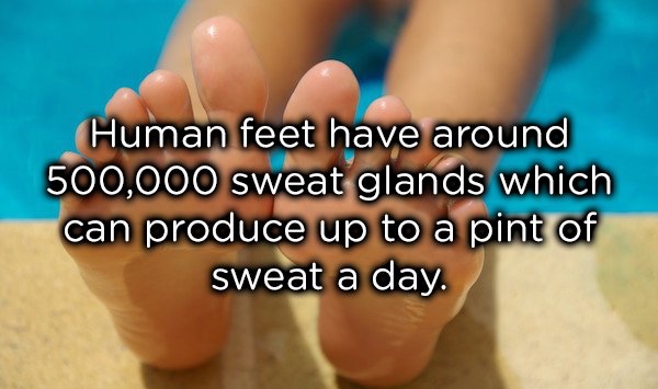 15 cool facts about the human body