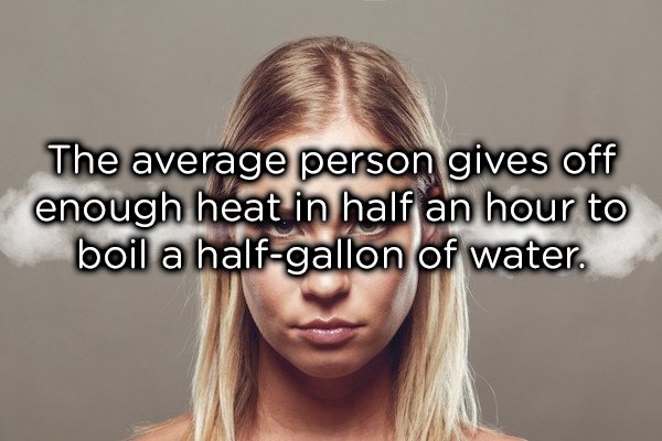 15 cool facts about the human body