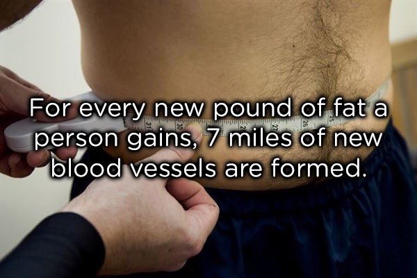 15 cool facts about the human body