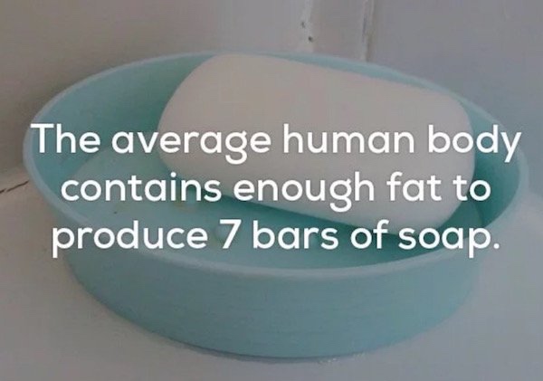 15 cool facts about the human body