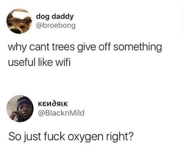 Humour - dog daddy why cant trees give off something useful wifi So just fuck oxygen right?