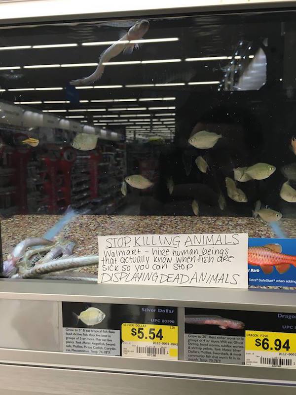 car - Stop Killing Animals Walmart. hire human beings that actually know when fish dre Sick So you can stop, Displaying Deadanimals Bart Tera SafeStart when adding Silver Dollar Dragon Upc 80190 Upce $5.54 F or My powo or more We Ghost W $6.94 ho Mec Gord