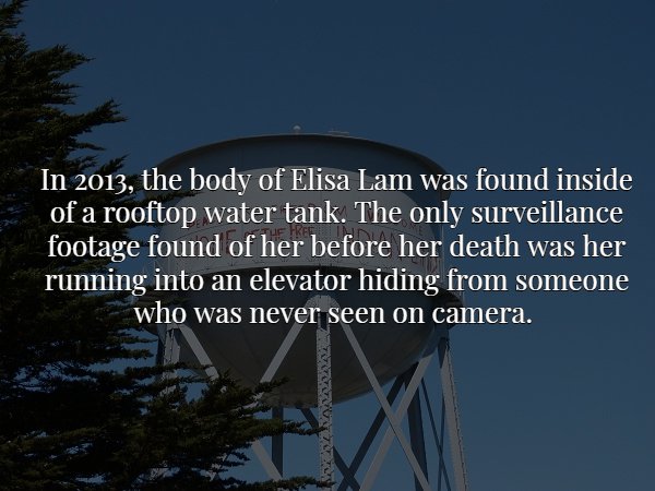 water tank elisa lam elevator - In 2013, the body of Elisa Lam was found inside of a rooftop water tank. The only surveillance footage found of her before her death was her running into an elevator hiding from someone who was never seen on camera.